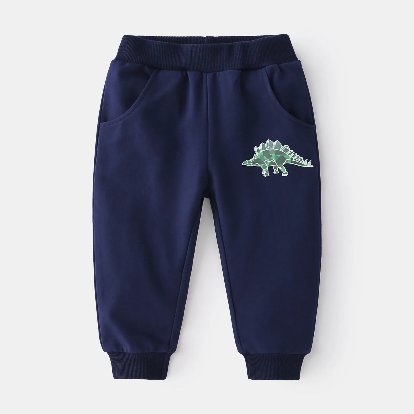 Dinosaur Sweatshirt and Sweatpants Set